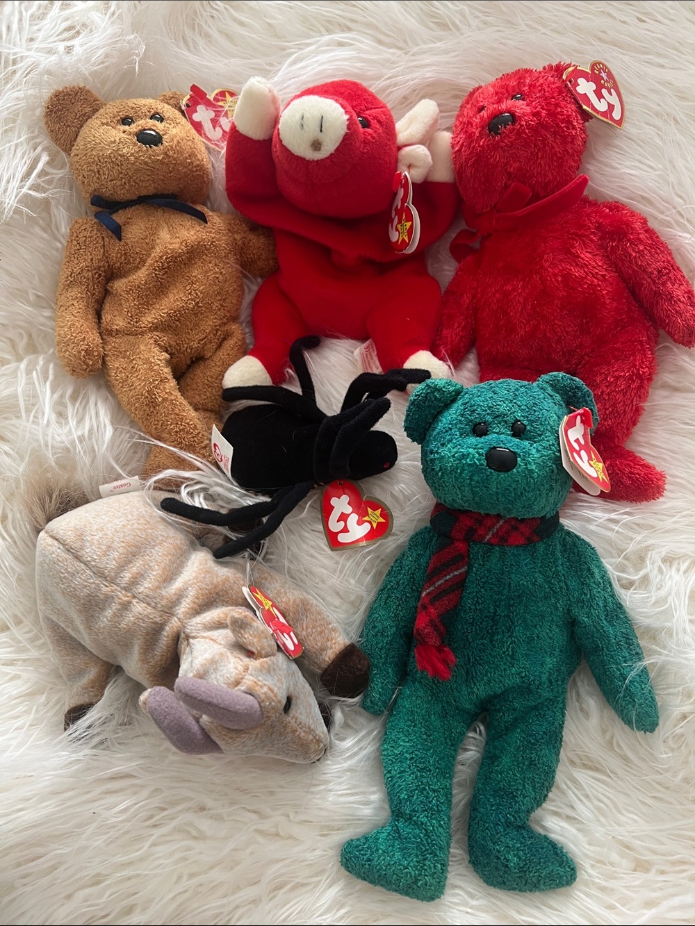 Ty Beanie Buddies Plush Bear - Green (Assorted Collection)